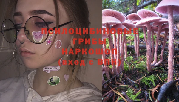 мяу мяу мука Алзамай