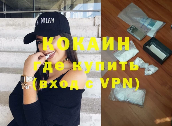 индика Михайлов
