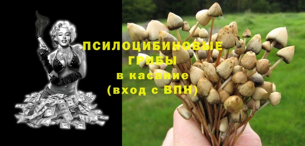 прущий лед Арсеньев